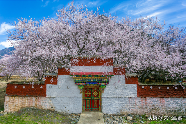 西藏，旅行天花板！2026年的最全玩法，就在这篇里→