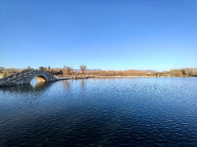 拟2月13日开园！济源再添一座游园！