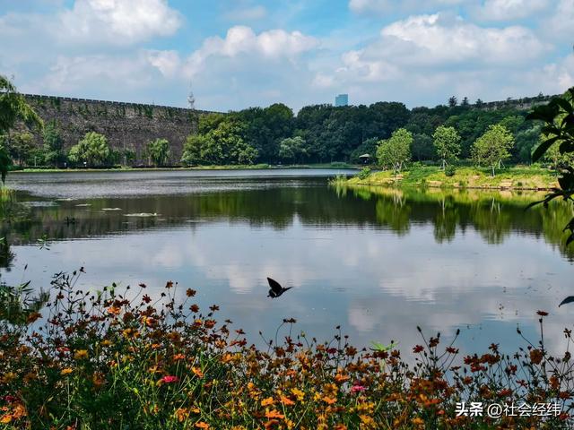 每日一景|幽湖清溪·琵琶湖公园