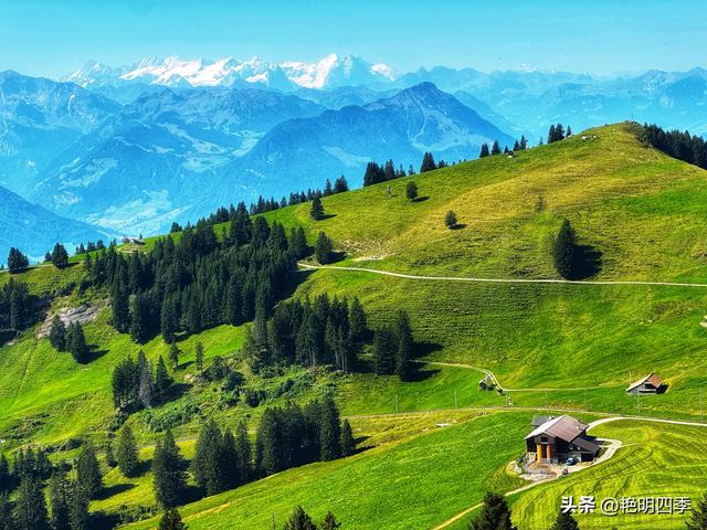 欧游杂记（5）‖ 齿轮火车几上几下瑞吉山，缆车凌空飞跃韦吉斯