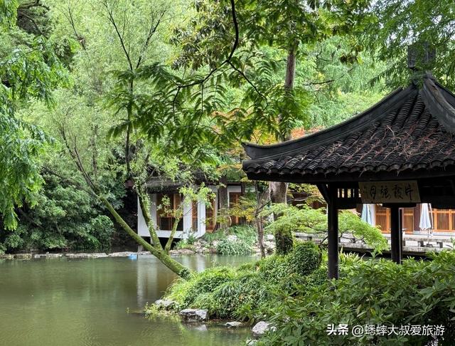 杭州植物园中，有两个老杭州人都不知道的秘密！