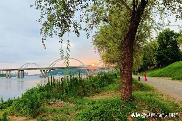 1h车程，带娃在这里挖到“宫崎骏同款夏天”！