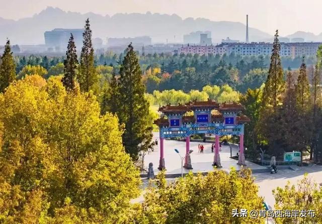 “冬游西海岸”!5条热门线路等你来🤩