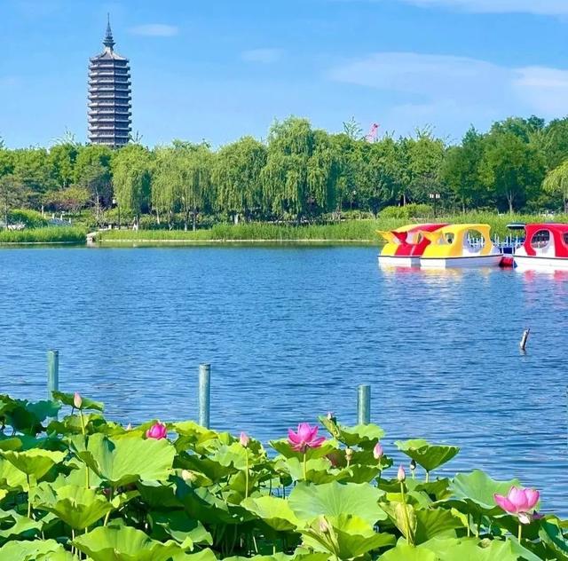 副中心30个公园变身“清凉秘境”！游船、浅滩、亲水乐园全都有