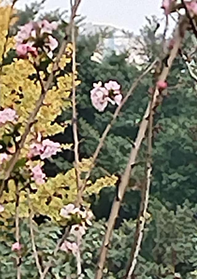 盘溪河的冬，藏着山城最温柔的秋意