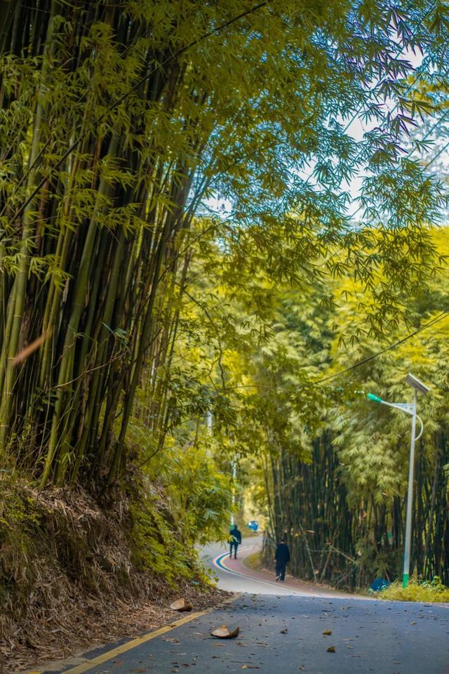 彭州这条“世界级”徒步线，走起！