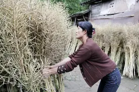 邻村有狐臭姑娘没人要，我鼓起勇气娶了她，多年后才知自己捡到宝图片