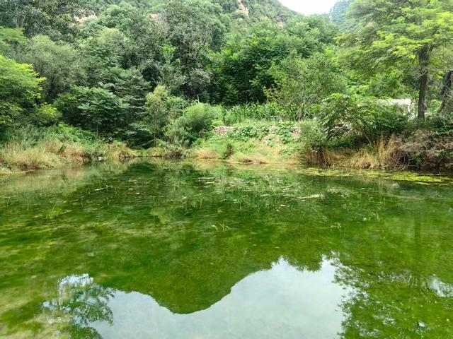 南口镇羊台子村：京郊秋日里的桃源胜地