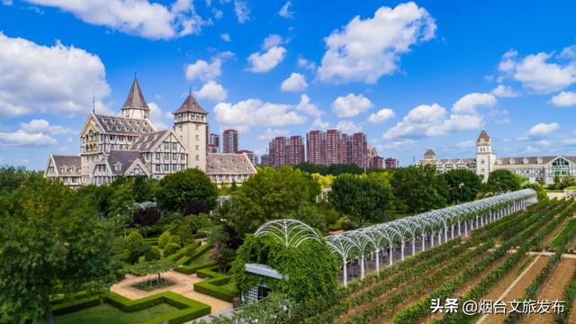 【乐游烟台】“齐鲁超赛”来了！烟台多家A级景区免票狂欢→