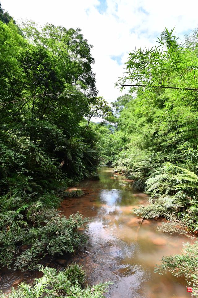 赤水四洞沟瀑布