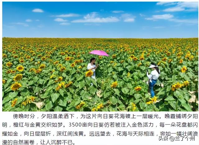 兰州竟然还有这么美的地方，不去就错过了