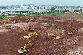 签约即生根 落地即奔跑 投产即飞跃！解密招商引资的“大竹密码”图片