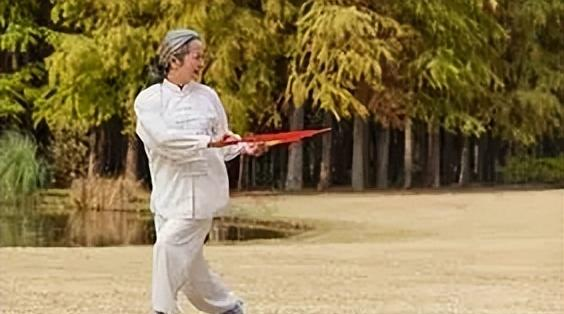 中老年人学太极5个雷区别踩安全比姿势重要_2179