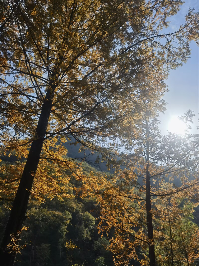 秦岭深处有人家（二）——邂逅秦岭最美廊道