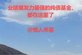 业绩爆发力最强的纯债基金，都在这里了图片