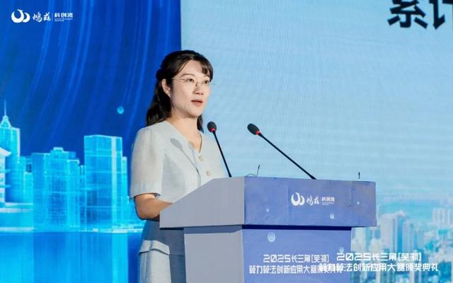 智算之城提速，2025长三角（芜湖）算力算法创新应用大赛落幕
