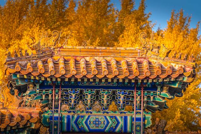 来东城，寻觅那些美好文字里的秋天——