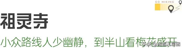 春天去哪徒步？成都周边8条路线：摘野菜、赏野花、捡野果