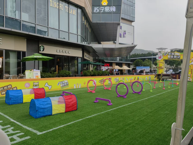 在韶关，带毛孩子去哪“浪”？这份宠物友好地图请收藏，撒欢不踩雷~