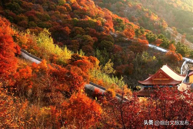 【乐游烟台】一眼惊艳!烟台这座小城最近太火了