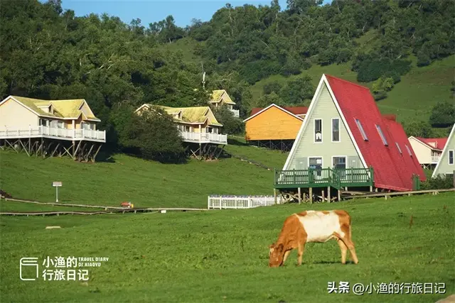 逃离高温！陕西超惬意避暑小城，景美超凉快！夏天去浪