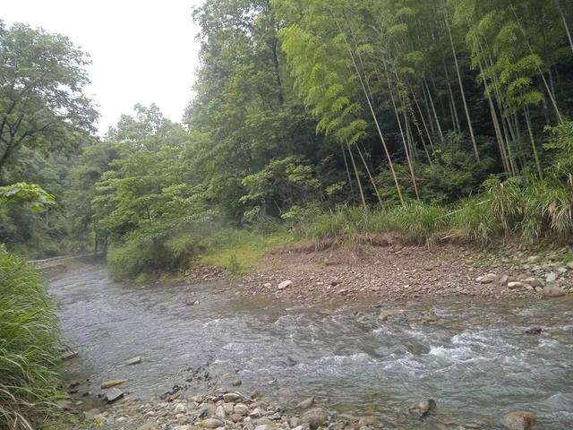 端阳喜伴小溪河，独有诗心迷远足——徒步小溪河散记（三）