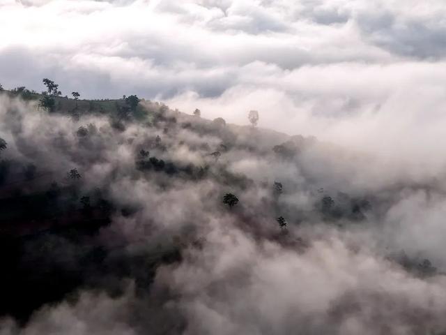 仙 境 康 城