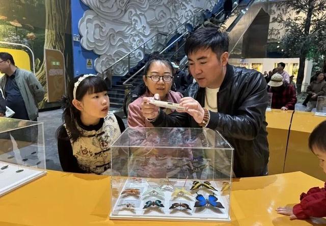 呼伦贝尔自然博物馆参观热度持续攀升