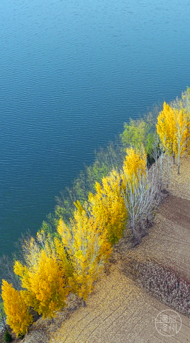 在十一月的任庄水库，收藏一季斑斓