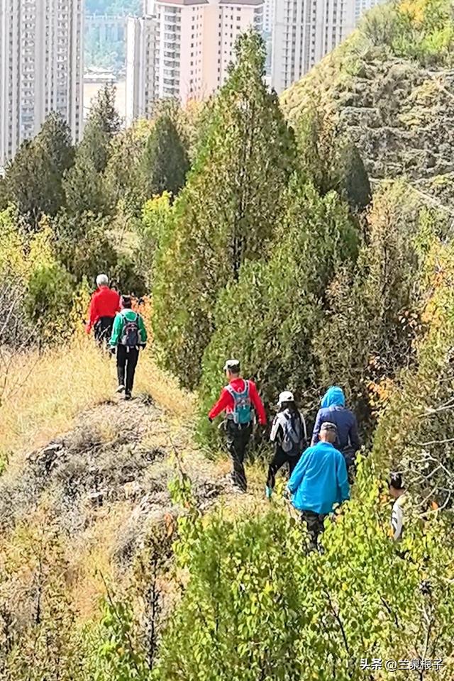秋染兰州北山 一场用脚步丈量的秋日盛宴