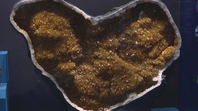 等你来打卡！河北两大新晋博物馆相继试运行