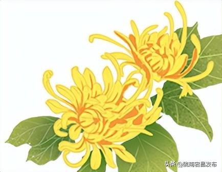 陇原赏秋韵，冬游官鹅沟