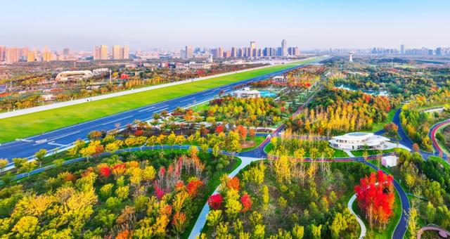骆岗公园,传来喜讯!