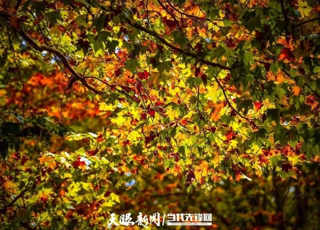 玩转贵安丨走！去贵安新区二十六厂晒太阳