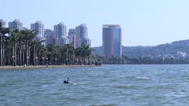 云南有大海的沙滩的城市，昆明动车1小时直达，四季如春度假小城