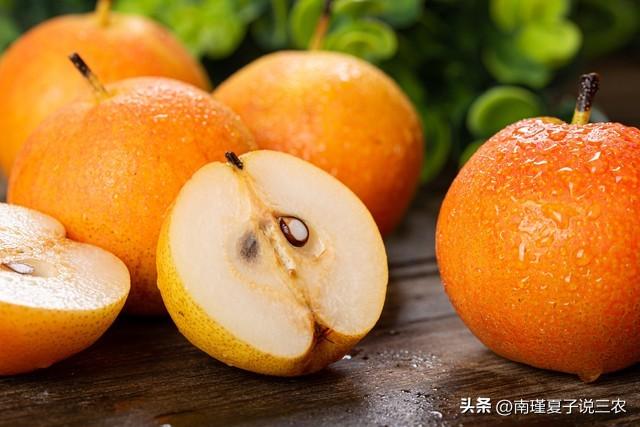 29日重阳节，记住“3习俗，2注意，1不吃”，家人安康一整年