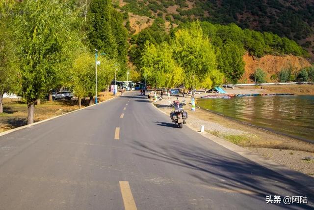 泸沽湖畔也有青青草原,除了牛马羊外,还放养着不少黑猪和白猪