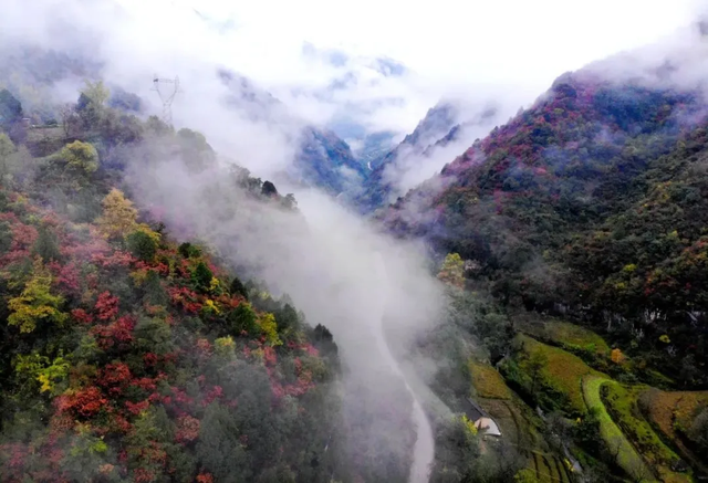 警告！深秋的徽县，千万别出门！因为……