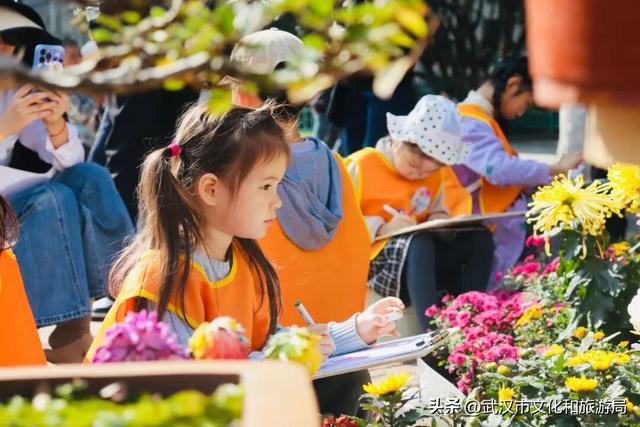 美到华妃都停步！最受欢迎的菊展打卡点就在这里