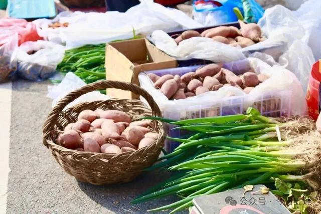 超精彩！五莲大旺花海盛会即将开启！