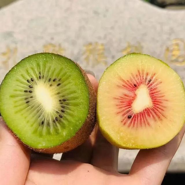 长三角果香正浓！快到这些当季采摘点位探“鲜”吧~