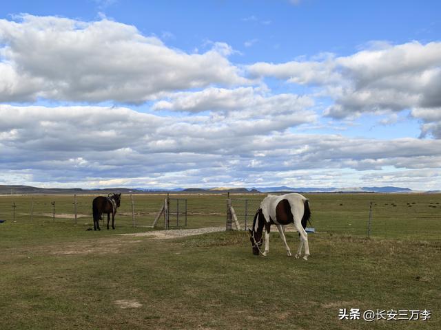 北上大草原第8站：贡格尔草原生活体验一天