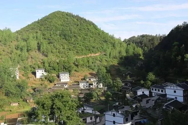 乡游黔中 · 德江县 桶井土家族乡丨乌江畔金菊漫山,秋韵正浓