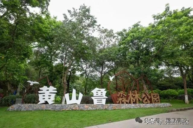 即将开工！！申报国家级度假区旅游目的地！南沙城央迎超级利好！