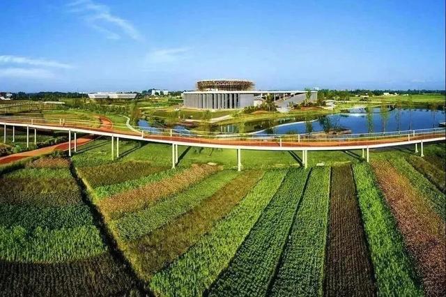 邛崃这些林盘景区，藏着向往的诗意与远方