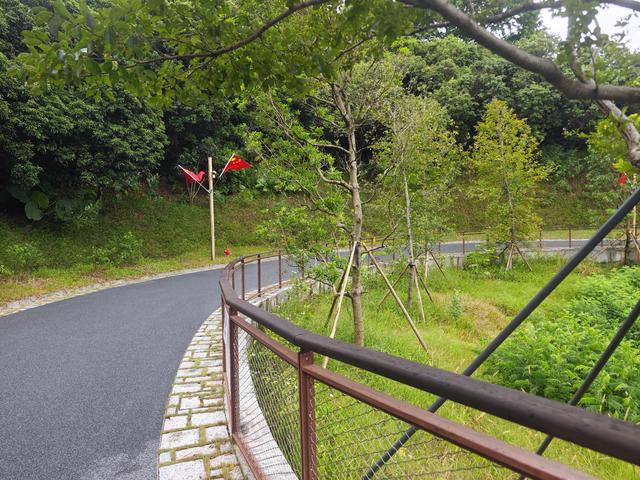 西丽湖国际科教城绿道高清随拍
