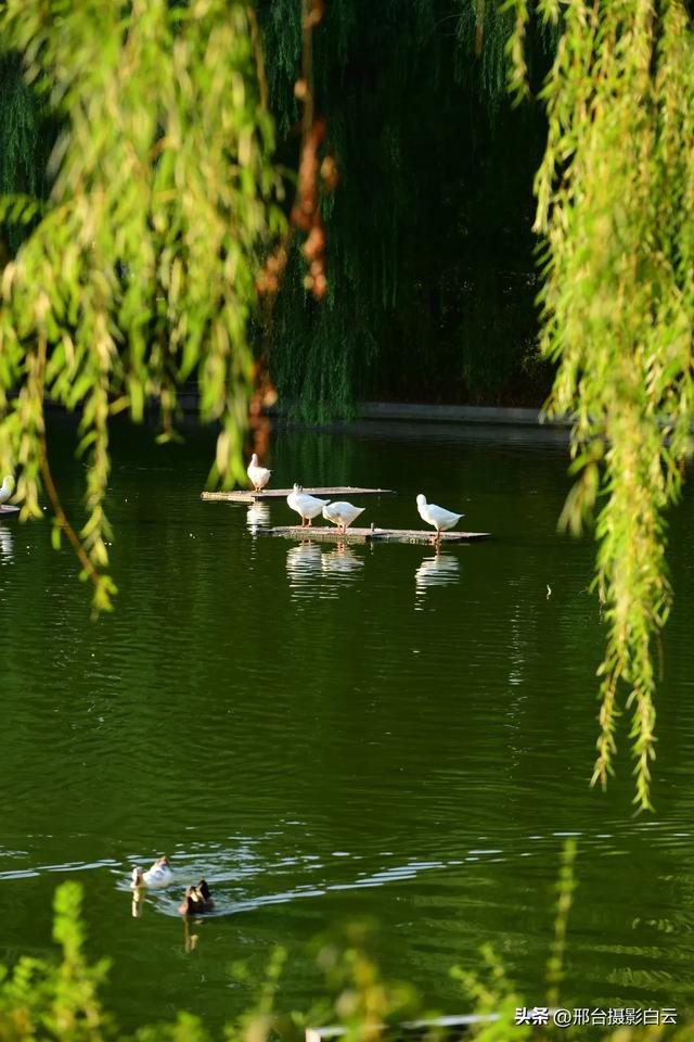 达活泉公园秋色正美