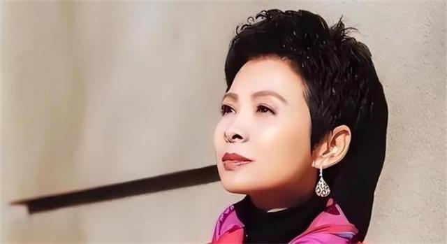 不再隐瞒！63岁的董文华曝光当年被"封杀"的真相，原来错的是我们