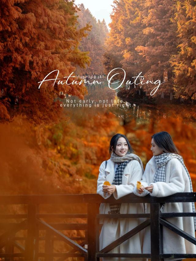 走进盐渎公园，闯进水杉林的秋日童话🍂