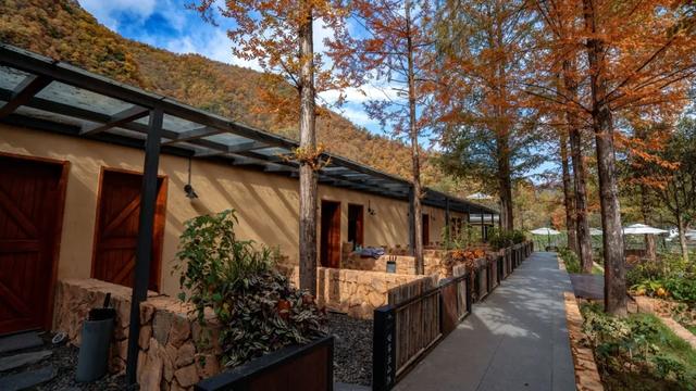 赏秋正当时!自驾来汉中,赴一场秋日视觉盛宴~